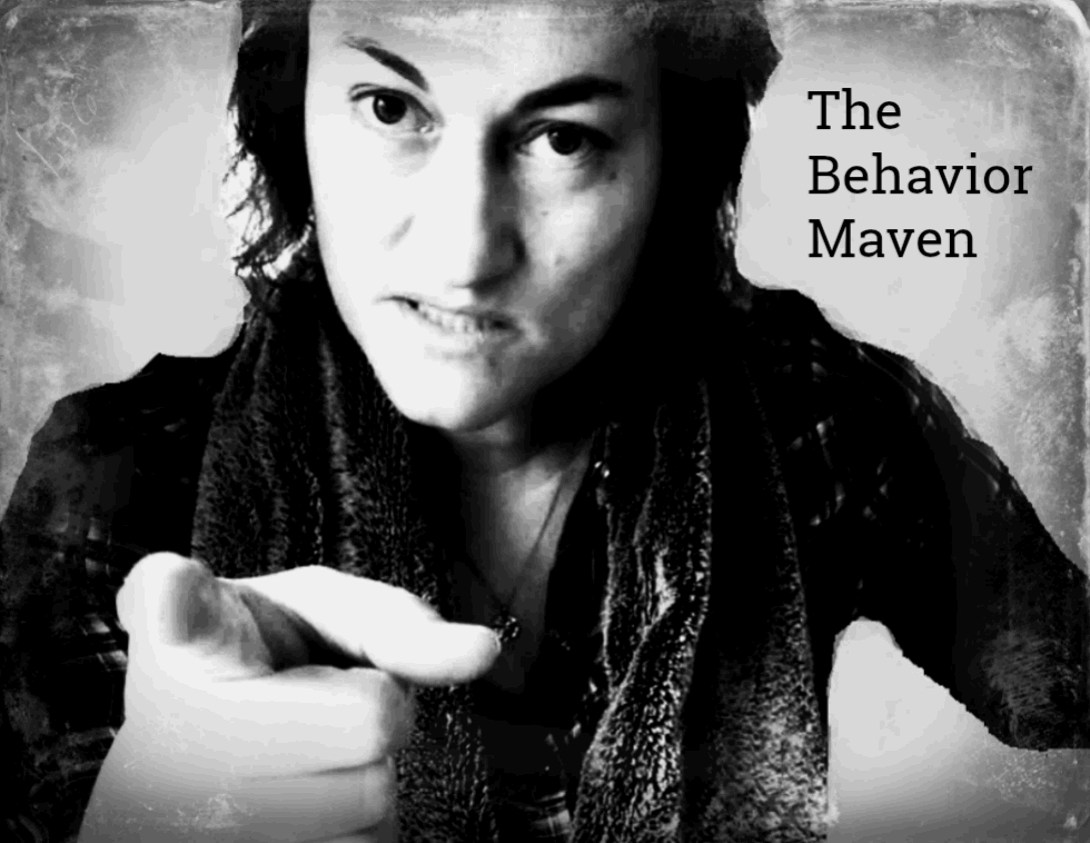 Read more about the article Bad Behavior