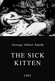 Read more about the article “The Sick Kitten”
